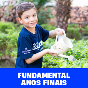 Ensino Fundamental - Anos Finais