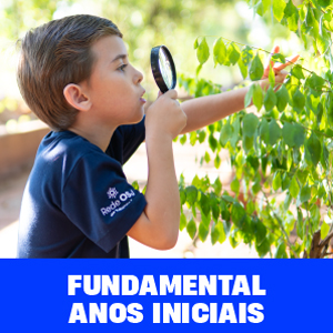  Ensino Fundamental - Anos Iniciais